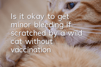 Is it okay to get minor bleeding if scratched by a wild cat without vaccination?