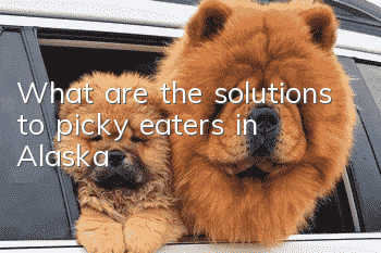 What are the solutions to picky eaters in Alaska?