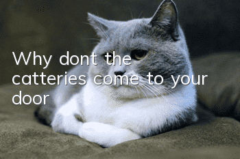 Why don’t the catteries come to your door?