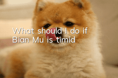 What should I do if Bian Mu is timid?