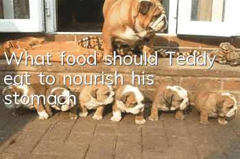 What food should Teddy eat to nourish his stomach?