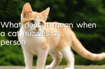 What does it mean when a cat nuzzles a person?