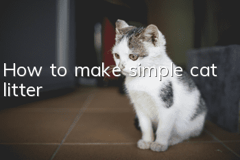 How to make simple cat litter