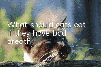 What should cats eat if they have bad breath?