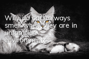 Why do cats always smell when they are in unfamiliar environments?