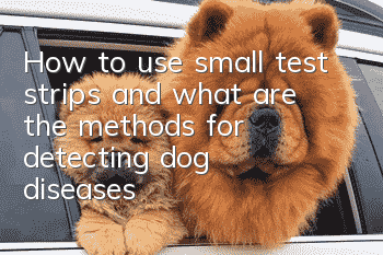 How to use small test strips and what are the methods for detecting dog diseases?