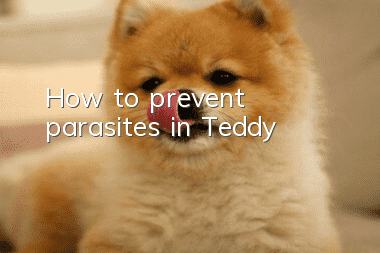 How to prevent parasites in Teddy