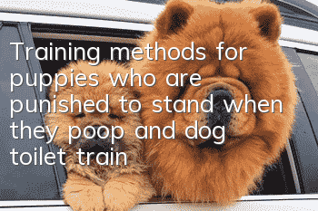 Training methods for puppies who are punished to stand when they poop and dog toilet training