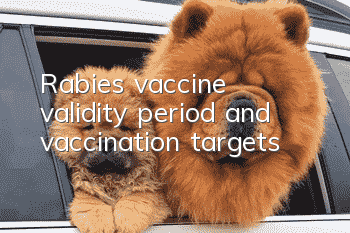 Rabies vaccine validity period and vaccination targets