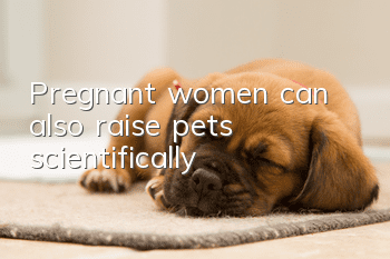 Pregnant women can also raise pets scientifically