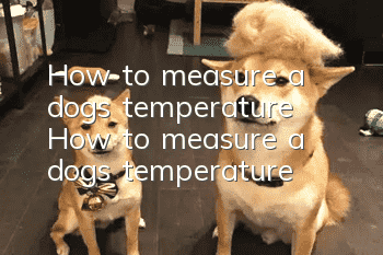 How to measure a dog’s temperature How to measure a dog’s temperature