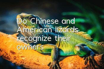 Do Chinese and American lizards recognize their owners?