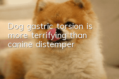 Dog gastric torsion is more terrifying than canine distemper