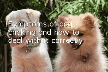 Symptoms of dog choking and how to deal with it correctly
