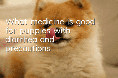 What medicine is good for puppies with diarrhea and precautions