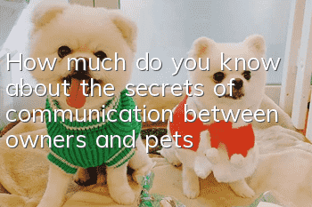 How much do you know about the secrets of communication between owners and pets?