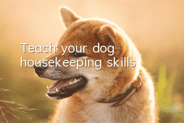 Teach your dog housekeeping skills