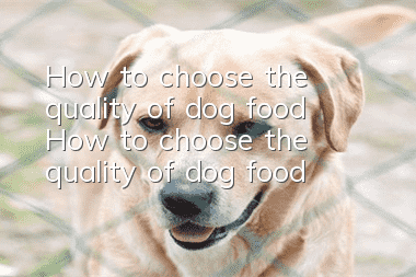 How to choose the quality of dog food How to choose the quality of dog food