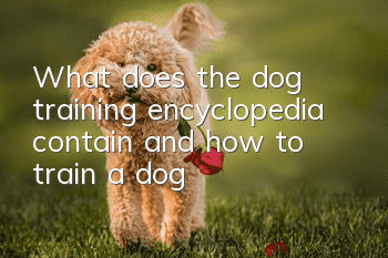 What does the dog training encyclopedia contain and how to train a dog?