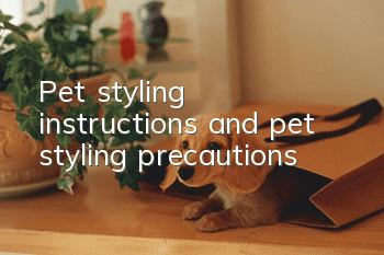 Pet styling instructions and pet styling precautions