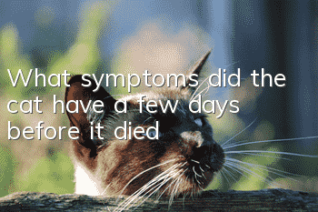 What symptoms did the cat have a few days before it died?
