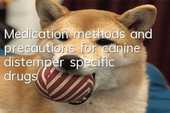 Medication methods and precautions for canine distemper specific drugs