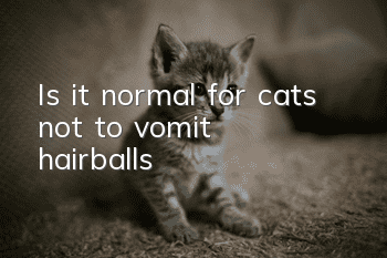 Is it normal for cats not to vomit hairballs?