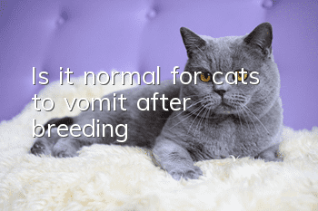 Is it normal for cats to vomit after breeding?