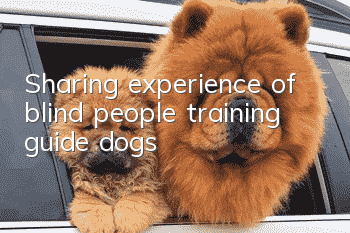Sharing experience of blind people training guide dogs