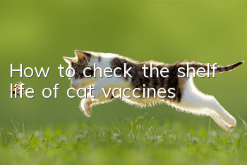 How to check the shelf life of cat vaccines