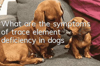 What are the symptoms of trace element deficiency in dogs?