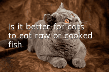 Is it better for cats to eat raw or cooked fish?