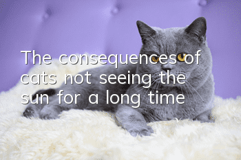 The consequences of cats not seeing the sun for a long time