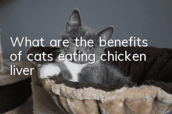 What are the benefits of cats eating chicken liver?