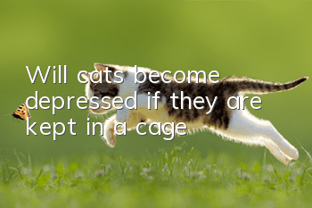 Will cats become depressed if they are kept in a cage?