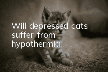 Will depressed cats suffer from hypothermia?