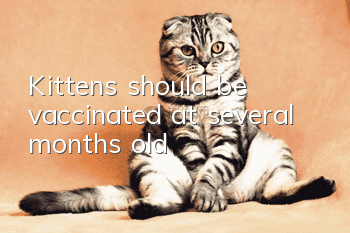 Kittens should be vaccinated at several months old