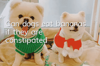 Can dogs eat bananas if they are constipated?