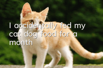 I accidentally fed my cat dog food for a month