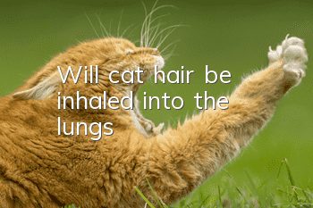 Will cat hair be inhaled into the lungs?