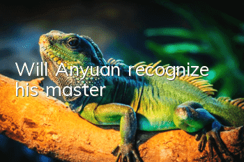 Will Anyuan recognize his master?