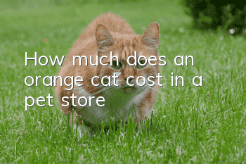 How much does an orange cat cost in a pet store?