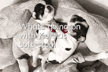 What's going on with Kokila's soft stool?