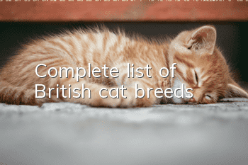 Complete list of British cat breeds