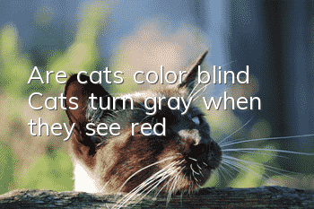 Are cats color blind? Cats turn gray when they see red