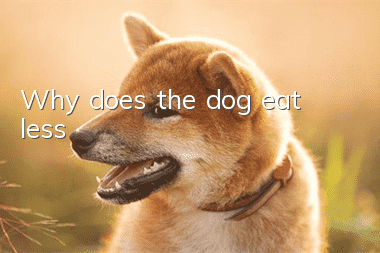 Why does the dog eat less?