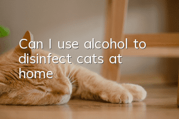 Can I use alcohol to disinfect cats at home?