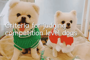 Criteria for judging competition level dogs