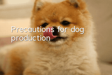 Precautions for dog production