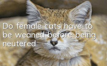 Do female cats have to be weaned before being neutered?
